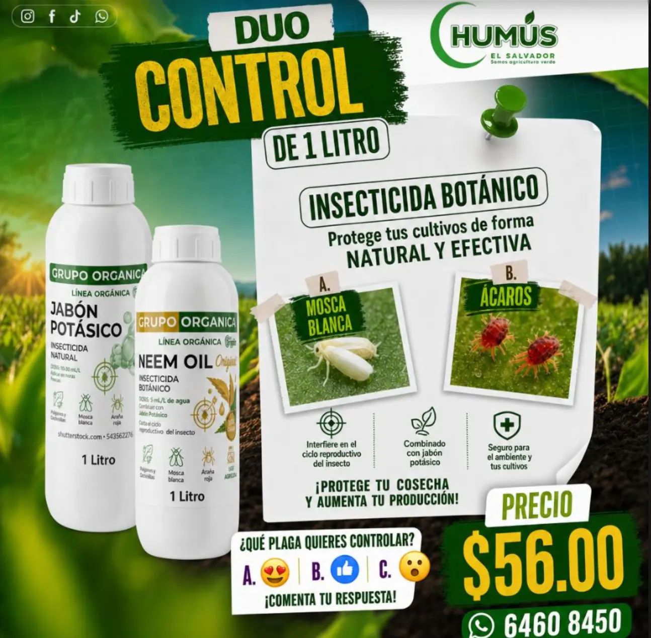 Dúo Control